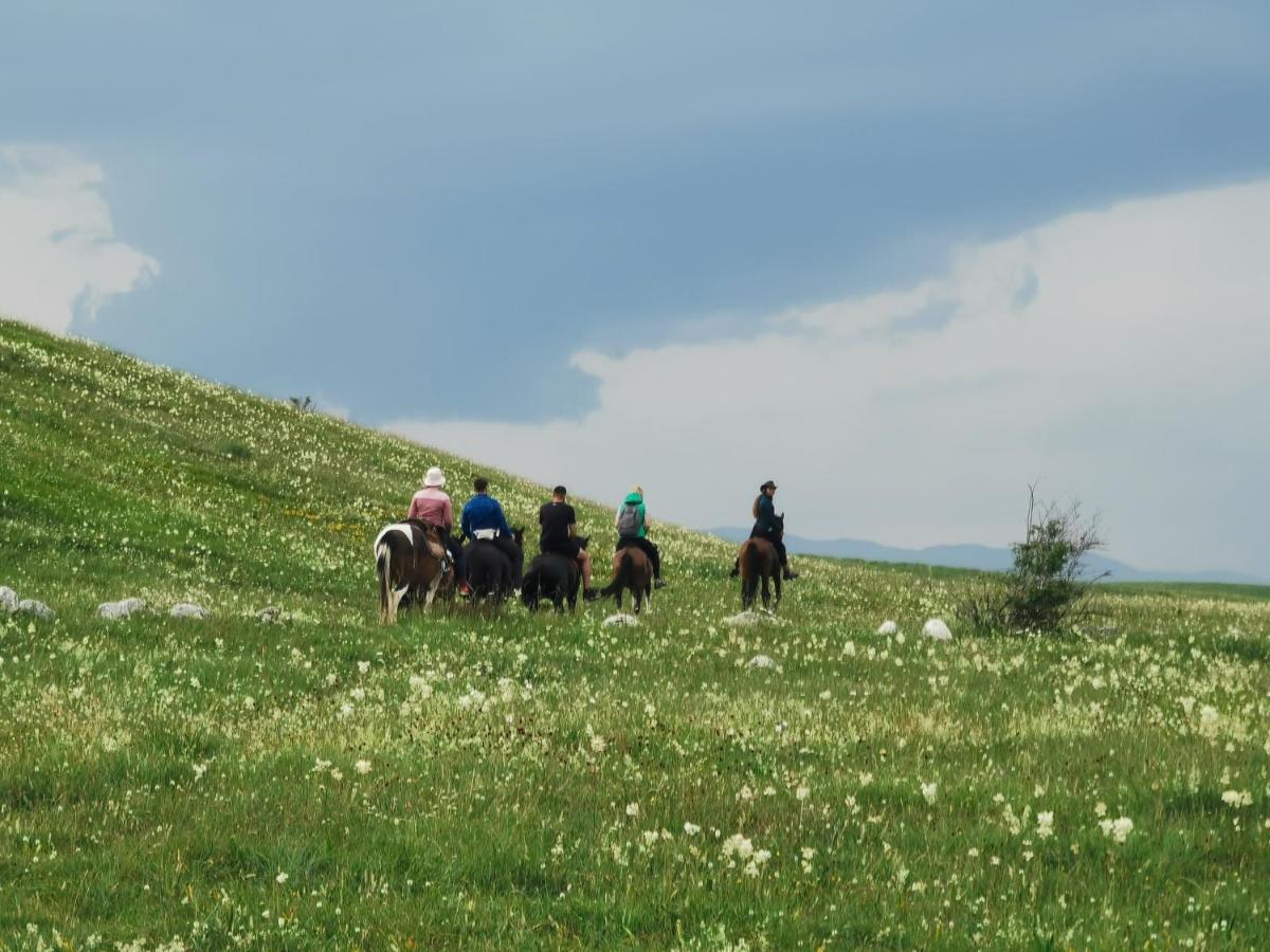 בקתה High Haven Durmitor